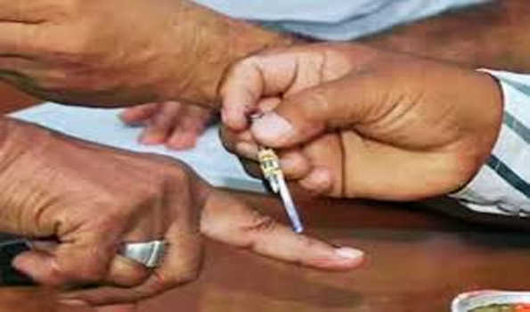 श्रीनगर लोकसभा सीट पर एक बजे तक 23.75 प्रतिशत मतदान