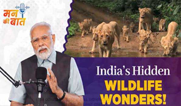 मोदी ने की वन्य जीव संरक्षण के लिए काम करने वालों का हौसला बढ़ाने की अपील
