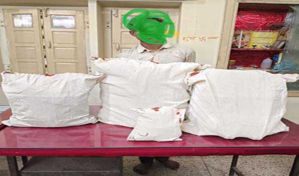 सीबीएन ने दो किलो से अधिक अवैध अफीम बरामद किया