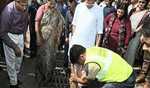 रेखा सरकार का मिशन 'जलभराव मुक्त दिल्ली'