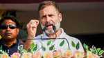 جموں و کشمیر کے تمام لوگوں نے پہلگام واقعے کی مذمت کی: راہل گاندھی جموں و کشمیر کے تمام لوگوں نے پہلگام واقعے کی مذمت کی: راہل گاندھی