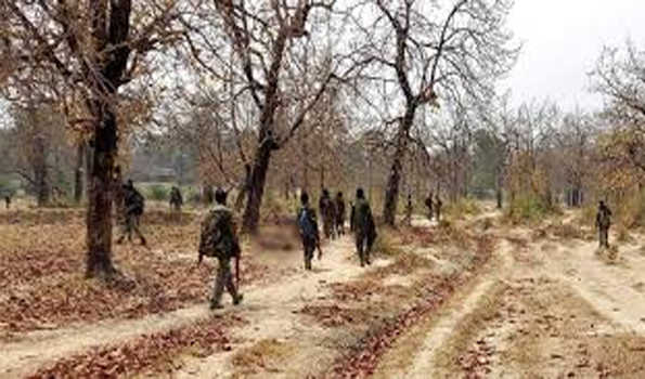 नक्सलियों ने छह महीने तक युद्धविराम की घोषणा की
