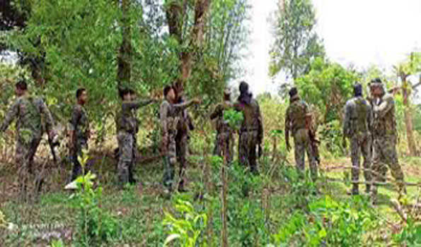 मुठभेड़ में 1.72 करोड़ के इनामी 31 नक्सली ढेर, 150 बंकर ध्वस्त