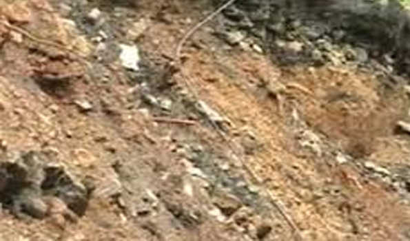 जावा में भूस्खलन से ढहे घरों में छह लोग दबे