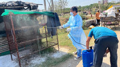 RANCHI, APR 25 (UNI):- Health workers sanitise the village after an outbreak of H5N1 Influenza Bird Flu at Hotwar, in Ranchi on Thursday. UNI PHOTO-113U