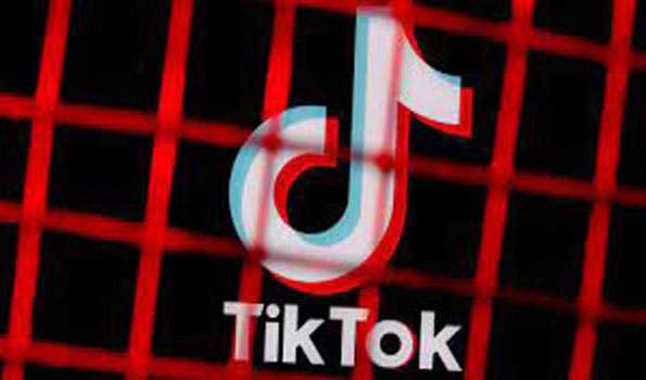 Čeští poslanci zakázali používat TikTok na vládních strojích